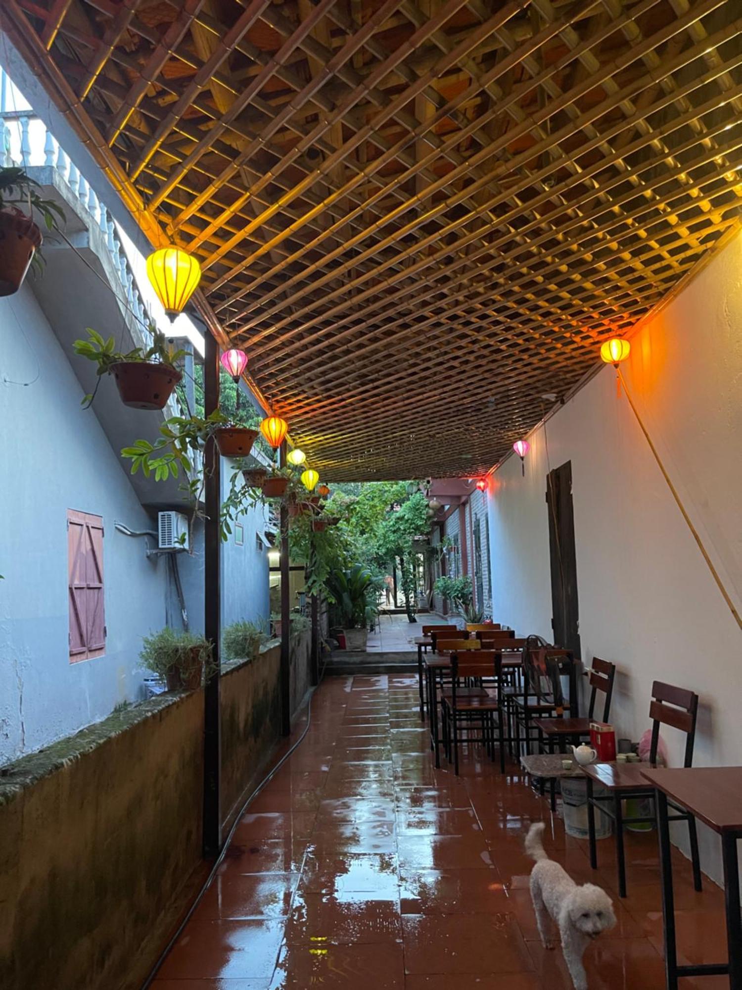 Thuy Xuyen Tam Coc Homestay Vu Lam Extérieur photo